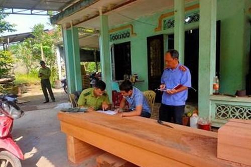 Kiểm sát hiện trường vụ gỗ lậu lớn ở Bắc Trà My
