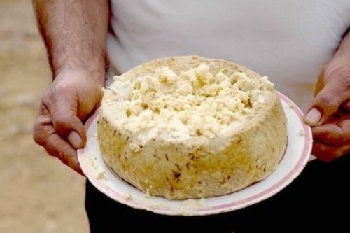 Cơn sốt phô mai giòi chỉ dành cho người thích đồ ăn 'kinh dị'