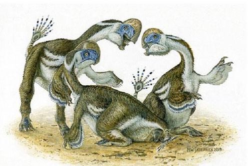 Hóa thạch khủng long 2 ngón tay kỳ quái