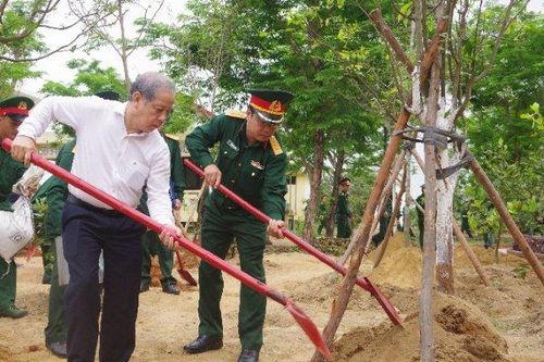 TT- Huế: Hưởng ứng sôi nổi phong trào 'Mai vàng trước ngõ'