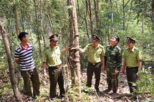 Chuyện của những người 'giữ rừng'