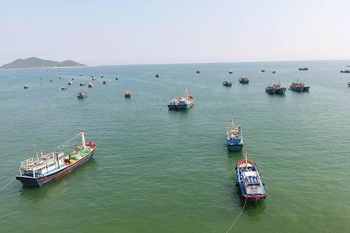 Xử lý tình trạng độ chế động cơ tàu cá