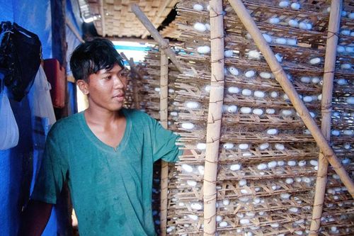 Phát triển các tiểu vùng nông nghiệp ở Đam Rông