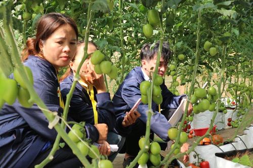 Liên kết chặt chẽ thông tin và tuyên truyền thương hiệu