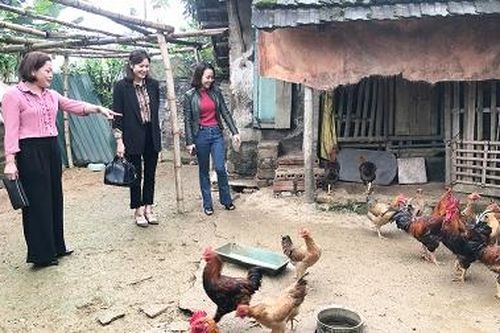 Thẩm định, kiểm tra hiệu quả các dự án vay vốn từ Quỹ trợ vốn cho đoàn viên công đoàn ở Thanh Ba