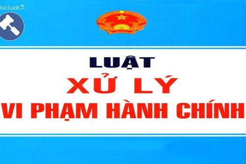 Luật Xử lý vi phạm hành chính triển khai đồng bộ trên địa bàn tỉnh