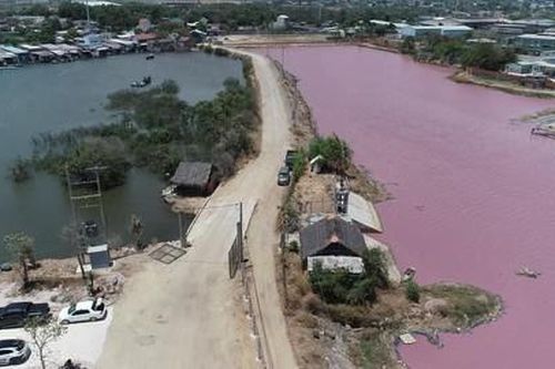 Bà Rịa-Vũng Tàu: Nước tại khu vực chế biến hải sản bị ô nhiễm