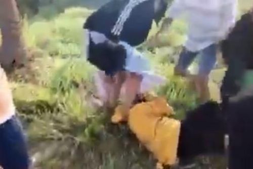 Vụ cô gái bị đánh hội đồng ở Tây Ninh: Nguyên nhân do ghen tuông