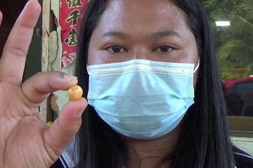 Vô tình tìm thấy ngọc quý hơn 300.000 USD khi chế biến ốc biển