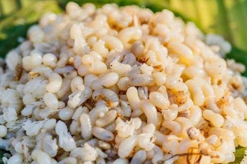 Dị ứng, mẩn đỏ toàn thân sau khi ăn trứng kiến