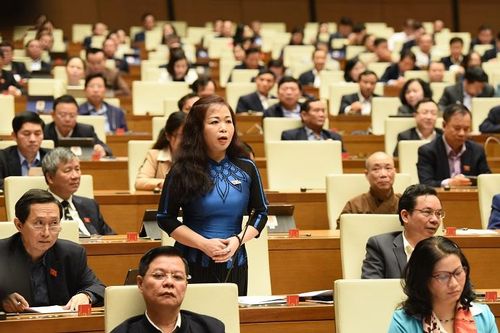 Đại biểu Quốc hội: 'Cử tri hỏi chúng tôi việc lấy phiếu tín nhiệm mang tính chất hình thức hay không?'