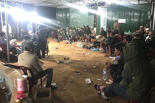 Gia Lai: Triệt phá trường gà quy mô lớn ở huyện biên giới Chư Prông