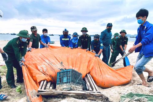 Màu áo xanh gìn giữ biển trời thêm xanh