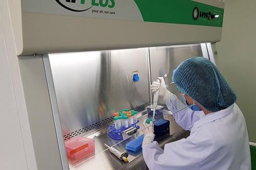 Thảo luận phương pháp giám định ADN để tìm kiếm hài cốt liệt sĩ
