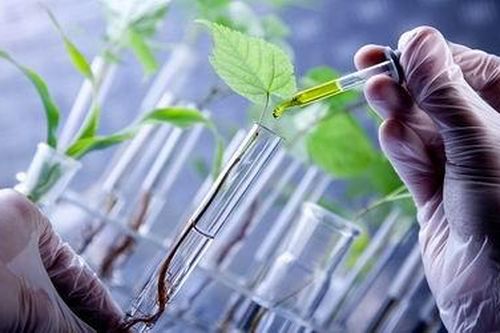 Tuyển chọn nhiệm vụ KH&CN theo Nghị định thư với Hàn Quốc