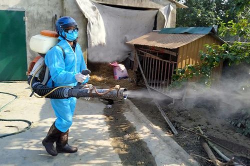 Ứng phó xâm nhập mặn, thiếu nước tại đồng bằng sông Cửu Long