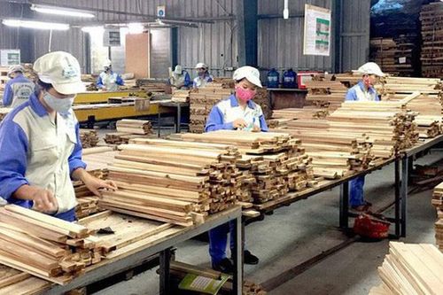 Xuất khẩu gỗ tăng trưởng ấn tượng nhưng chưa bền vững