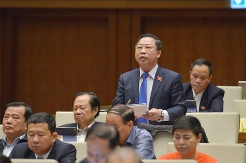 Đại biểu Lưu Bình Nhưỡng: Giám sát cá nhân của ĐBQH còn chưa nhiều
