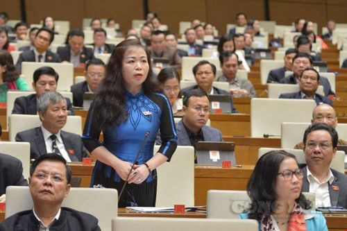 Đại biểu Quốc hội lo ngại về hiểm họa mang tên 'tham nhũng chính sách'