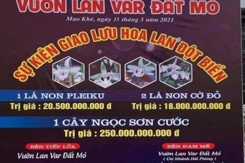 Tổng cục Thuế nói rõ mức thuế phải thu khi giao dịch lan đột biến trăm tỷ