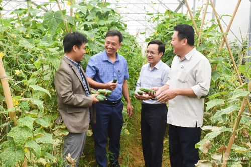 Đẩy mạnh tuyên truyền hình ảnh thị xã Hoàng Mai trên báo Nghệ An