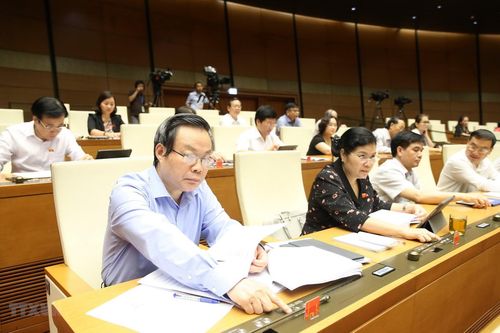 Đại biểu Quốc hội: Cần tiến hành thêm nhiều giám sát độc lập