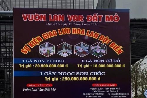 Lan đột biến... giá: Thủ đoạn trong các vụ giao dịch trăm tỷ