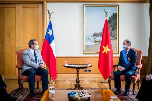 Quan hệ hữu nghị Việt Nam - Chile ngày càng gắn bó