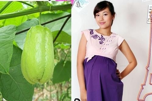 Bà bầu ăn quả su su có tốt không?