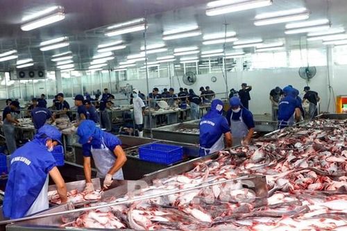 Gỡ rào cản kỹ thuật để mở rộng thị trường xuất khẩu cho thủy sản Việt Nam