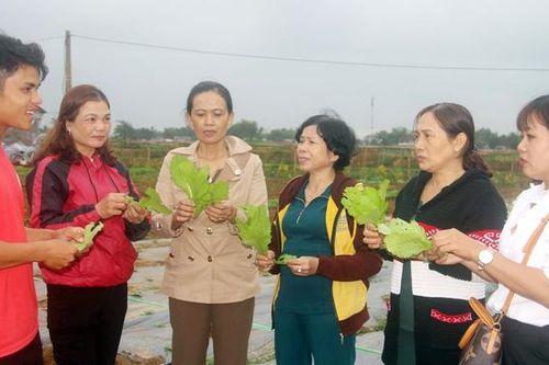 Phụ nữ Bình Định tích cực thực hiện 'sản xuất sạch, chế biến sạch, tiêu dùng sạch'