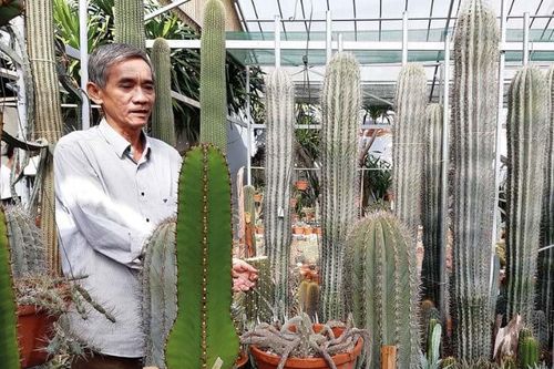 Cốt cách rồng