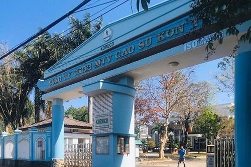 Cục Bổ trợ tư pháp yêu cầu làm rõ thông tin đấu giá tài sản tại Công ty TNHH MTV Cao su Kon Tum