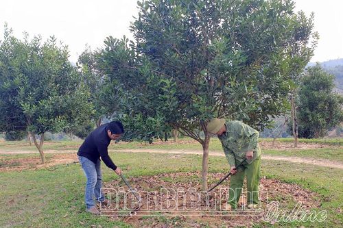 Tuần Giáo mời gọi thu hút đầu tư