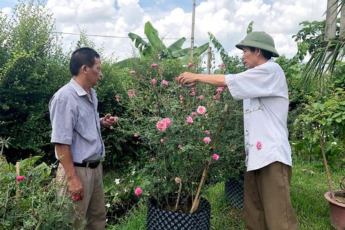 Tuyên Quang: Đổi mới hoạt động chăm lo nạn nhân da cam - Bài 2: Vượt lên từ tinh thần người lính