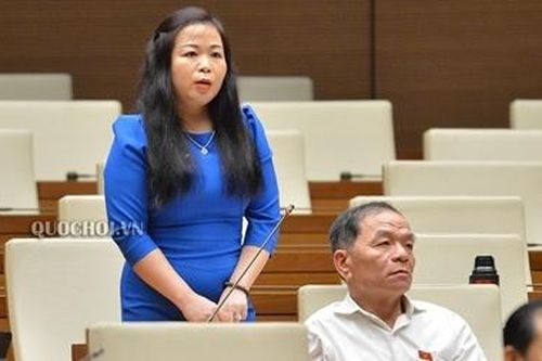 Đại biểu Quốc hội tranh luận nên lấy phiếu tín nhiệm 2 mức hay 3 mức?
