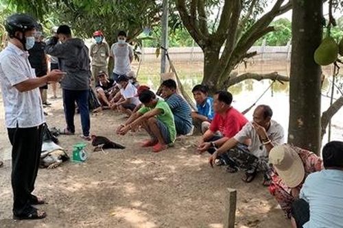 Triệt phá điểm đá gà ăn tiền giữa đồng ruộng