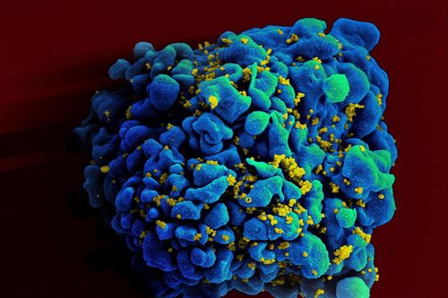 Bước tiến quan trọng của vaccine ngừa HIV sau 40 năm