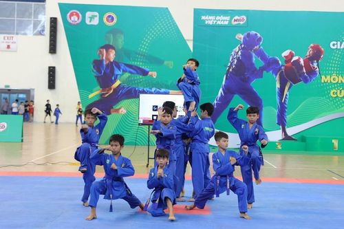 Đẩy mạnh phát triển Vovinam học đường