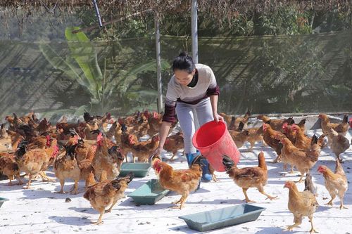 Phát huy vai trò của đảng viên trong phát triển vùng đồng bào dân tộc Mảng