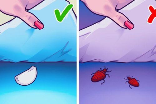 Đặt thứ này dưới gối giúp ngon giấc lại còn ngừa bệnh