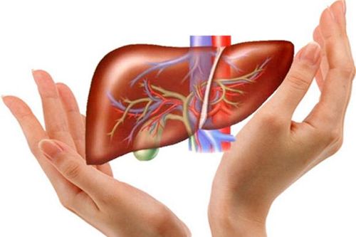 Hà Nội: Người phụ nữ bị tăng men gan gấp 20 lần do uống thuốc nam để sinh con