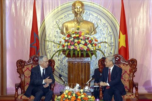 60 năm quan hệ ngoại giao Việt Nam-Maroc: Nâng quan hệ song phương lên tầm cao mới
