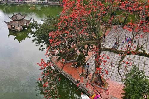 'Nao lòng' với cảnh sắc của chùa Thầy khi hoa gạo bung nở đỏ rực rỡ