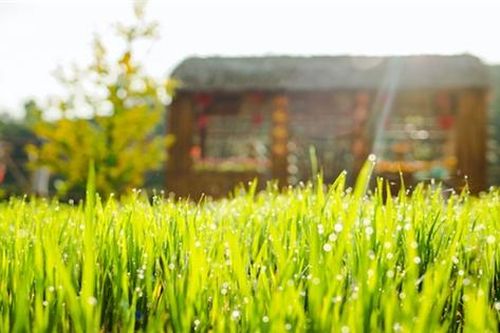 Điểm sáng từ mô hình du lịch cộng đồng khu vực Nam Trung Bộ