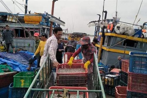 Nhiều khởi sắc từ kinh tế biển ở Gio Linh