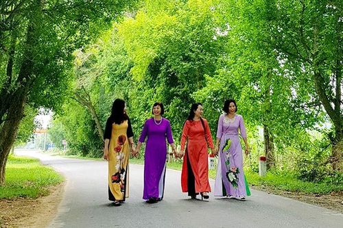 Rặng duối Tân Trào