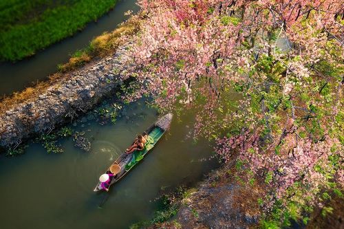 Việt Nam muôn màu