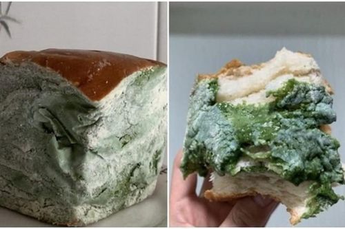 'Giải mã' loại bánh mì mốc meo được dân tình khen ngon nức nở
