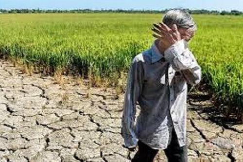 Nước mắt vùng ngập mặn